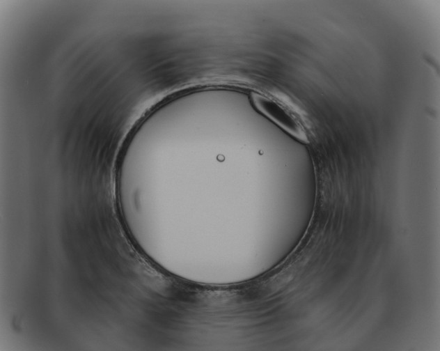 X0000091661280200709131503