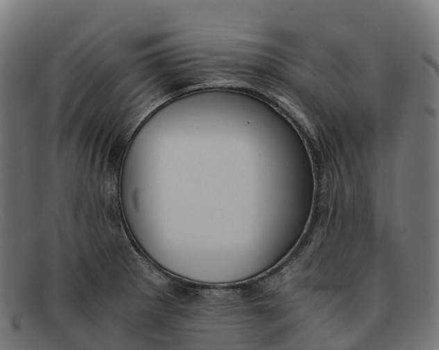 X0000091661281200709131503