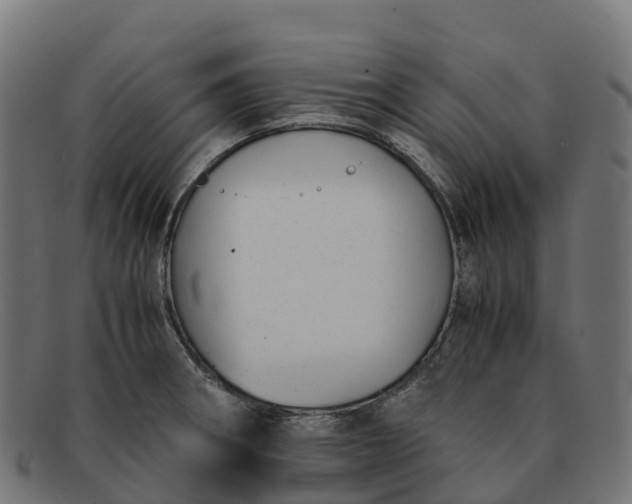 X0000091661282200709131503