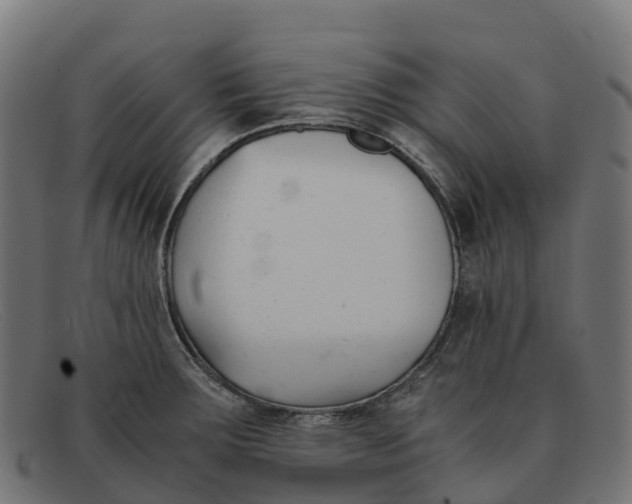 X0000091661283200709131503