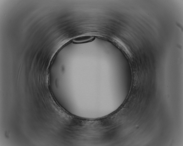 X0000091661284200709131503