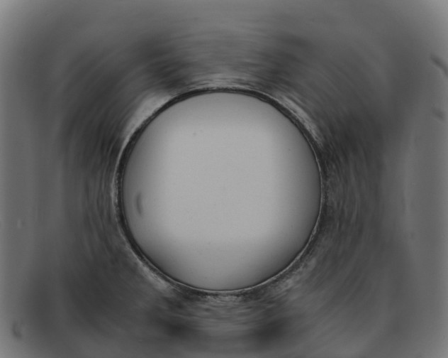 X0000091661285200709131503