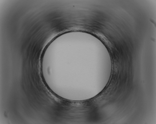 X0000091661286200709131503