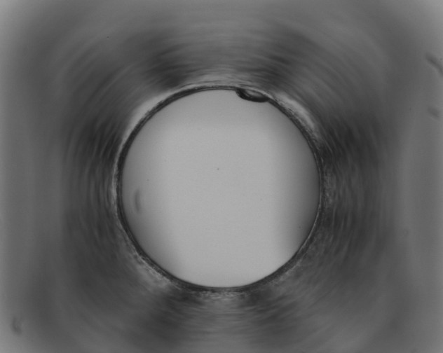 X0000091661288200709131503