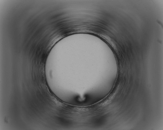 X0000091661289200709131503