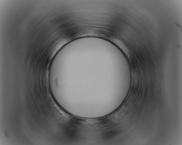 X0000091661290200709131503