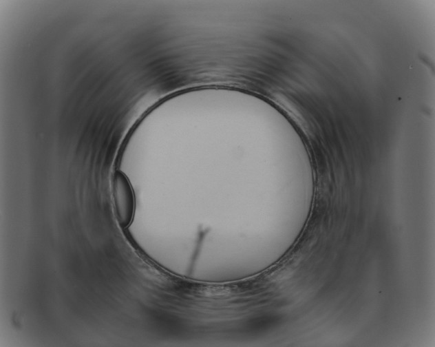 X0000091661291200709131503