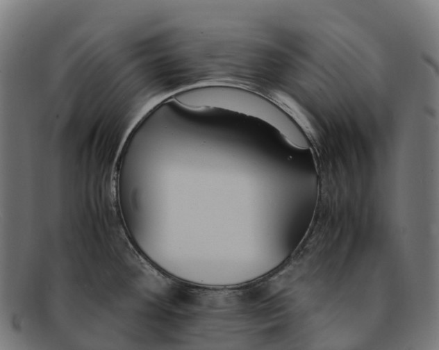 X0000091661292200709131503