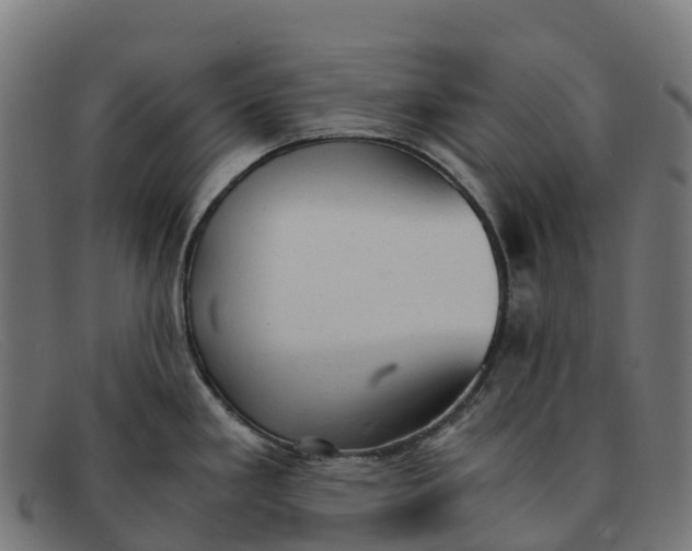 X0000091661293200709131503