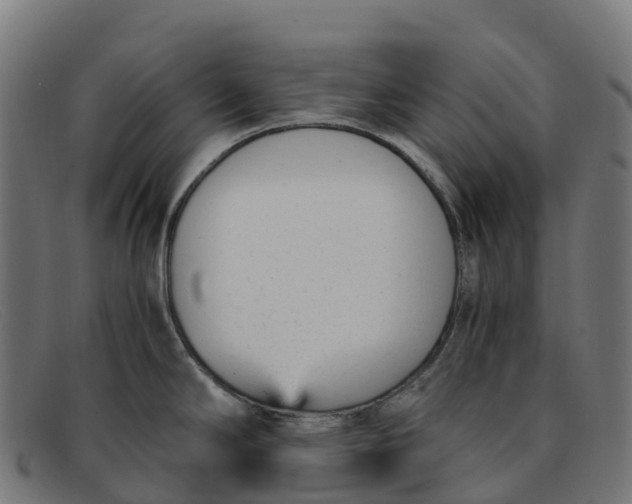 X0000091661294200709131503