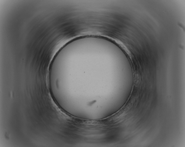 X0000091661295200709131503