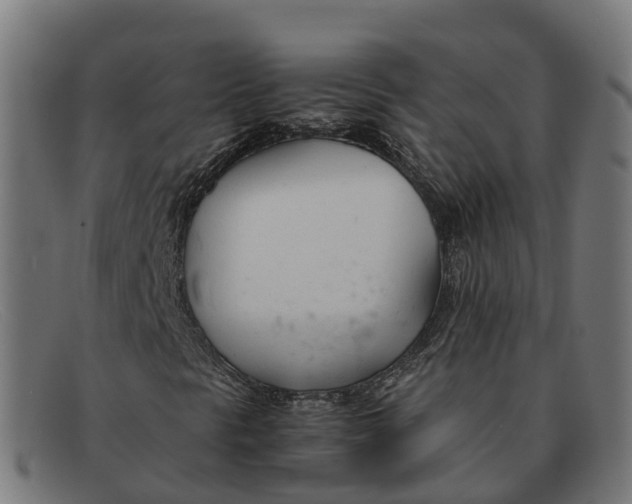 X0000091661297200709131502