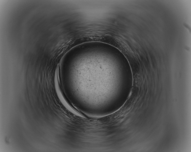 X0000091661298200709131502