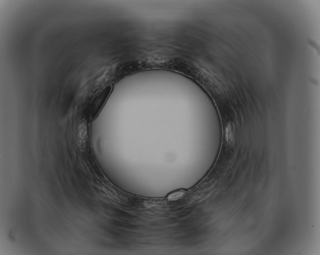 X0000091661299200709131502