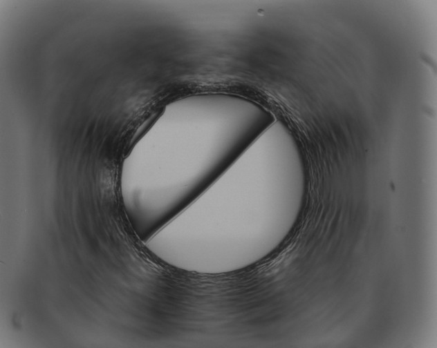 X0000091661300200709131502