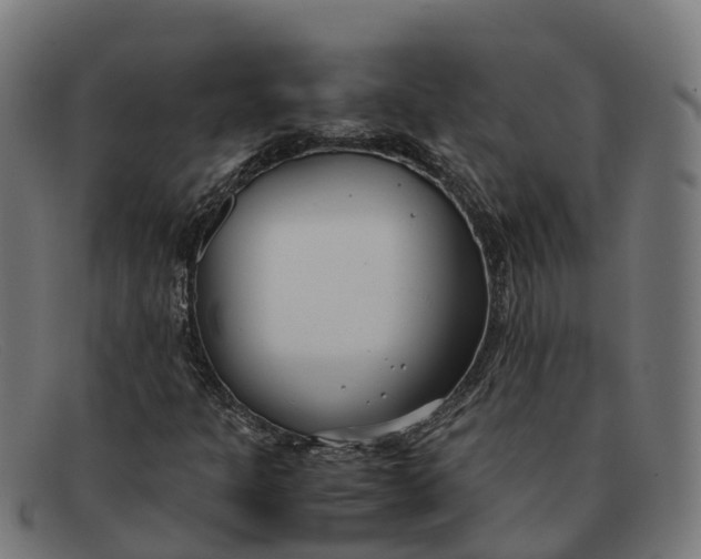 X0000091661301200709131502