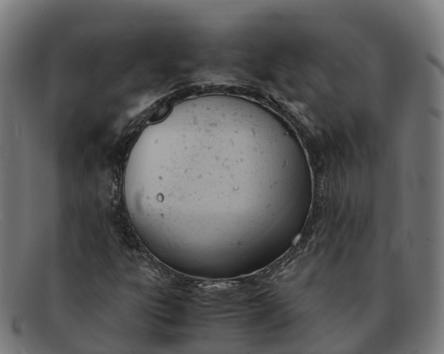 X0000091661303200709131502