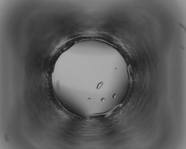 X0000091661304200709131502