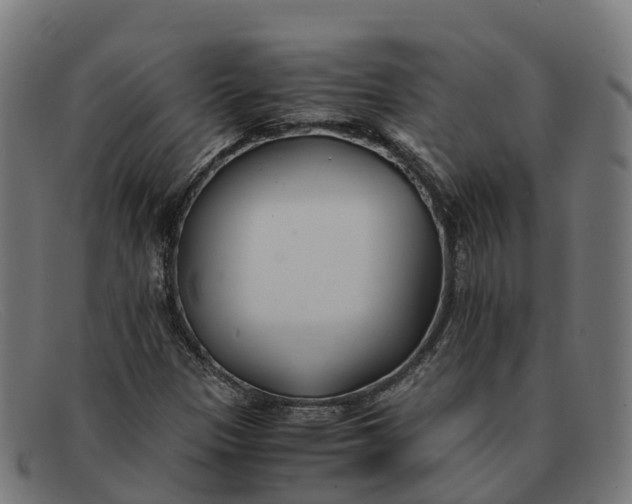 X0000091661305200709131502