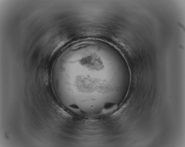 X0000091661306200709131502