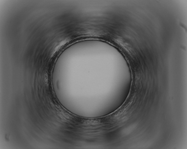 X0000091661307200709131502