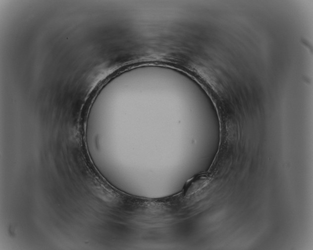 X0000091661308200709131502