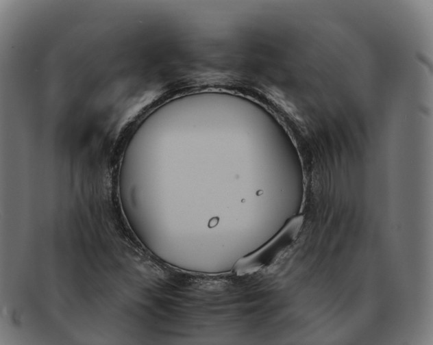 X0000091661309200709131502