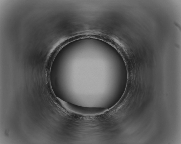 X0000091661310200709131502