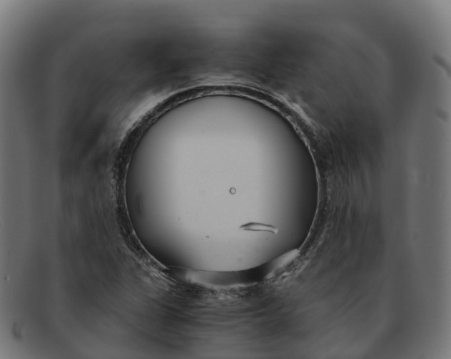 X0000091661311200709131502