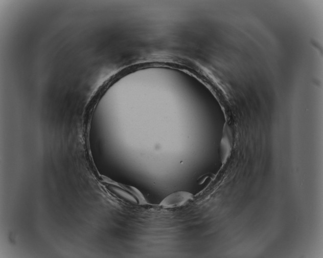 X0000091661312200709131502