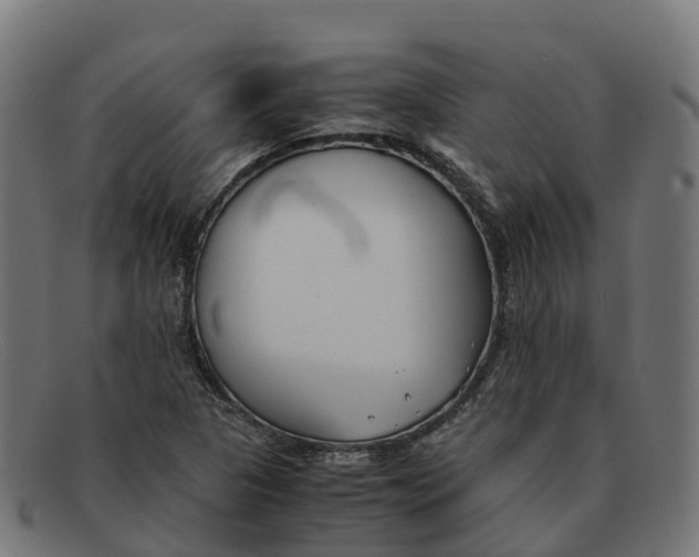 X0000091661313200709131502