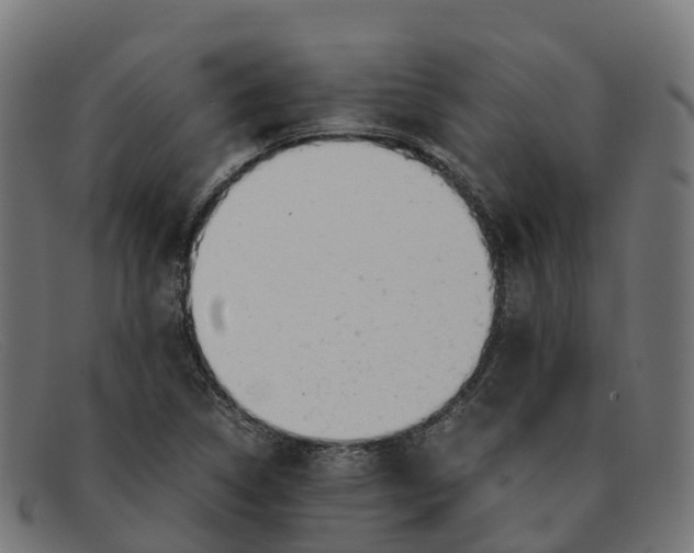 X0000091661314200709131502