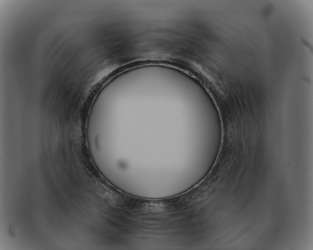 X0000091661315200709131502