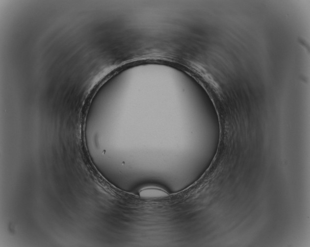 X0000091661316200709131502