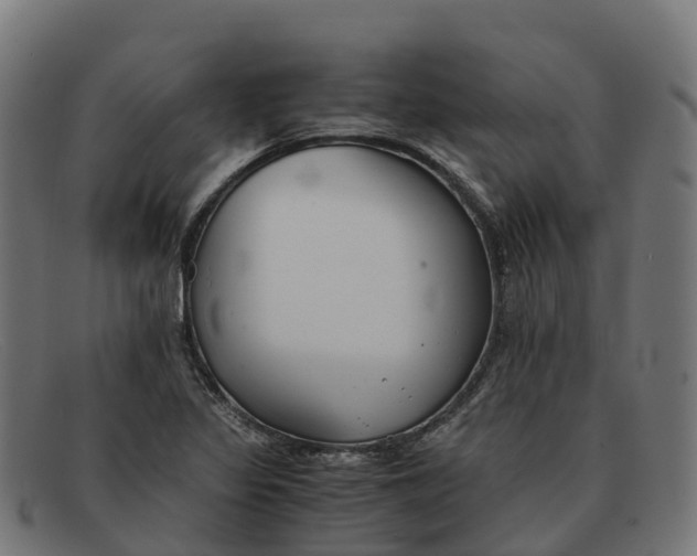 X0000091661317200709131502