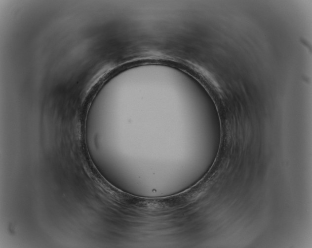 X0000091661318200709131502