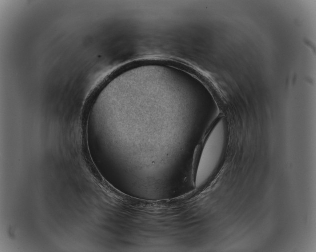 X0000091661319200709131502