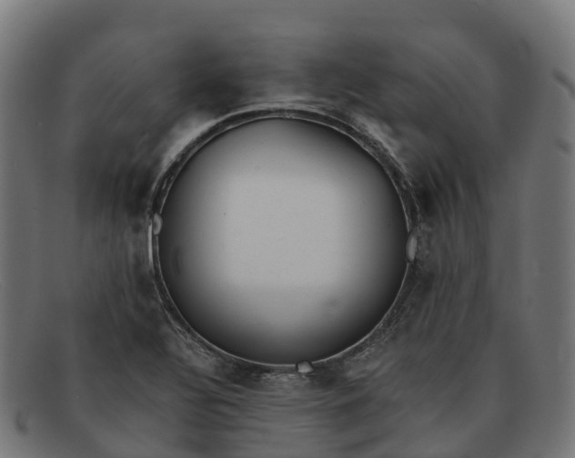 X0000091661320200709131502