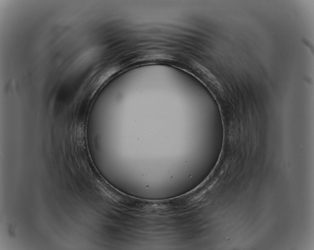 X0000091661321200709131502