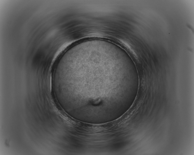 X0000091661323200709131502