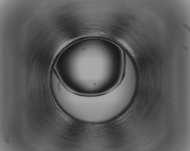 X0000091661324200709131502