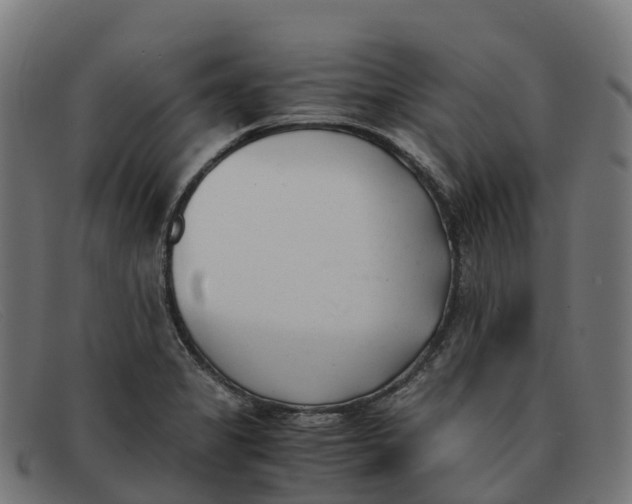 X0000091661325200709131502