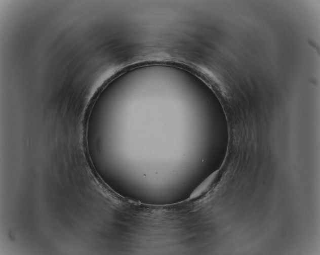 X0000091661326200709131502