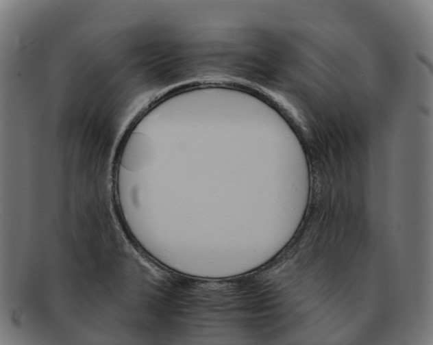 X0000091661327200709131502