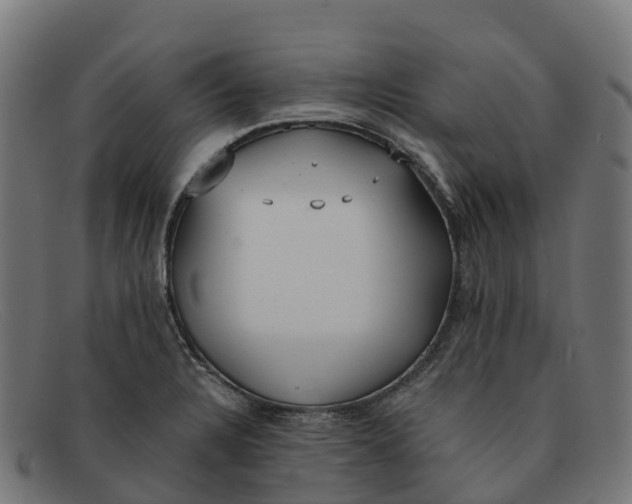 X0000091661328200709131502