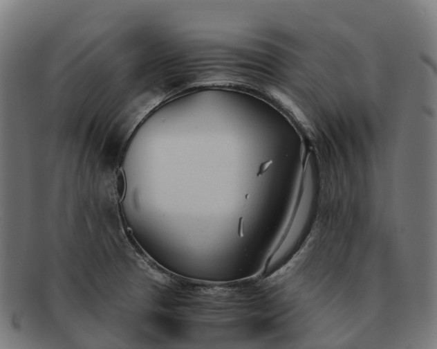 X0000091661329200709131502