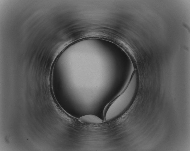 X0000091661330200709131502