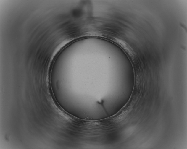 X0000091661331200709131502