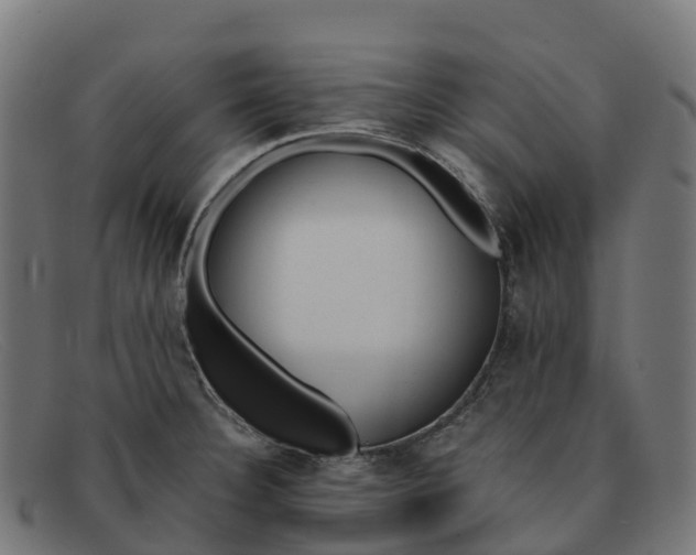 X0000091661332200709131502