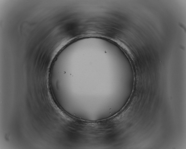 X0000091661333200709131502